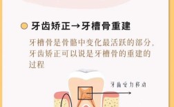 矫正牙齿的原理究竟是什么？牙齿移动的科学奥秘何在？