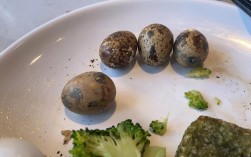 正畸矫治器制作培训