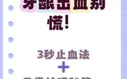 牙龈出血怎么治？具体日常护理与专业治疗方法有哪些？