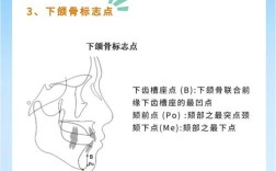 正畸治疗中头影测量如何正确操作与解读？