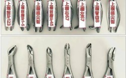 拔牙钳子的正确使用步骤有哪些？不同牙齿类型如何选择合适的拔牙钳子？使用时需注意哪些关键事项？