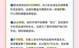 拔了牙之后种牙要多久