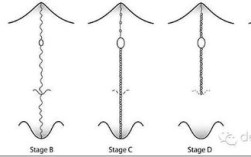 腭中缝扩展的方法有哪些及如何操作？