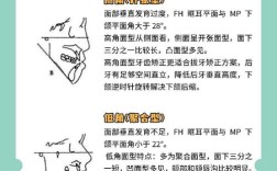 正畸过程中提到的高位低位具体指什么部位或情况？