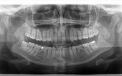 牙齿正畸京icp备