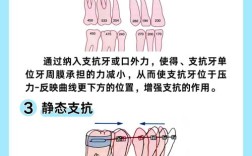正畸寄存膜的作用机制和临床应用价值是什么？