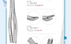 拔牙铤子的正确使用方法是什么？新手操作时有哪些关键步骤和需要注意的禁忌？