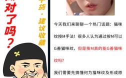 mtwo的使用方法是什么？新手操作指南