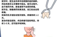 种牙和拔牙，疼痛感真的一样吗？