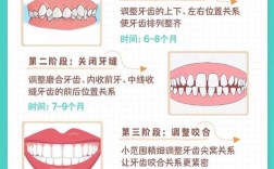 矫正牙齿的过程具体包含哪些步骤？