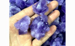 紫晶种牙多少钱