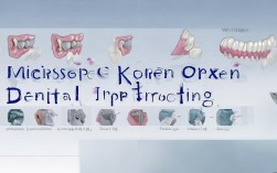 微创韩国种植牙价格是多少？具体费用和影响因素有哪些？