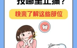 牙疼发作如何快速缓解？实用有效的止痛方法有哪些？