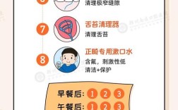正畸过程刷牙次数