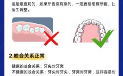 跟我一起学正畸