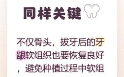 拔了牙多长时间可以种牙