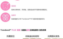 正畸粘结剂什么的好