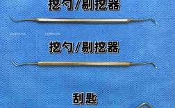 牙科刮治器如何正确使用？操作步骤与技巧有哪些？