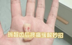 牙齿正畸 拔牙 哪个疼