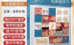 自体牙移植是先种牙根还是先种牙冠？