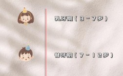 娃娃几岁矫正牙齿