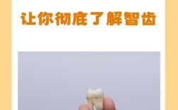 正畸为何要拔智齿？必须拔吗？