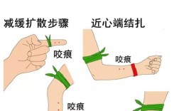 咬合创伤的治疗方法有哪些？