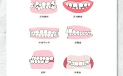 正畸颊面管在正畸治疗中起什么作用？