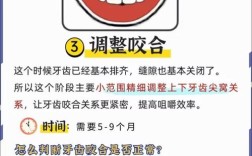 进修生口腔正畸学计划如何提升临床实践能力？