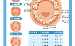种植全口牙一般需要多长时间完成种植修复？