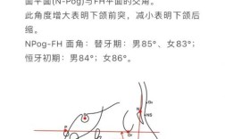 正畸测量中，每个角度的具体含义是什么？