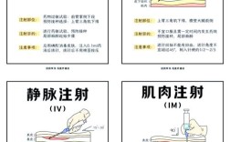 盐酸甲哌卡因皮试方法的正确标准操作步骤与注意事项有哪些？