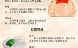 正畸为什么要戴斜导？它对牙齿矫正有何关键作用？
