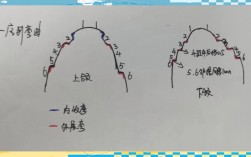 正畸方丝弓弯制方法