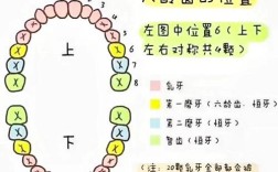 六龄齿没有了能正畸吗