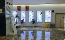 牙博士 正畸主任 新区