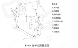 正畸头侧测量数据图的核心数据如何指导正畸方案？