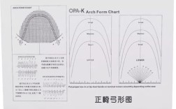 正畸常用弓丝弓形如何选择？不同弓形的作用与区别是什么？