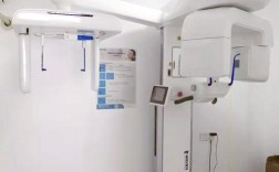 正畸全景片机器图