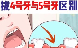 拔牙几天可以矫正牙齿