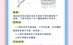正畸摇椅弓弯制方法具体步骤是怎样的？技巧与要点解析