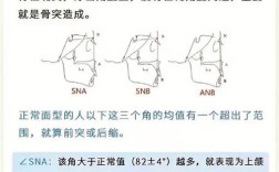 如何判定正畸骨性？关键临床指标与方法有哪些？