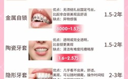 牙套有多少种