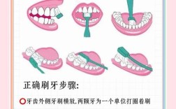 刷牙方法步骤图，正确刷牙步骤是怎样的？