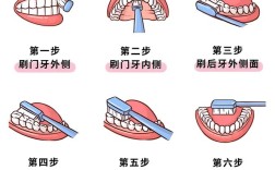 初学牙齿护理，新手有哪些基础方法要学？