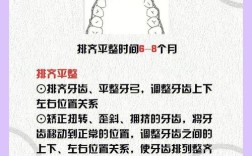 成人正畸实力原则的关键答案究竟有哪些？