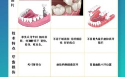 种牙还是带牙套