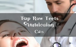 上排牙齿矫正费用要多少？矫正方式如何影响价格？包含哪些项目？