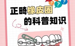 矫正牙齿橡皮圈图解