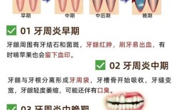 中药如何促进牙周正畸的修复效果？